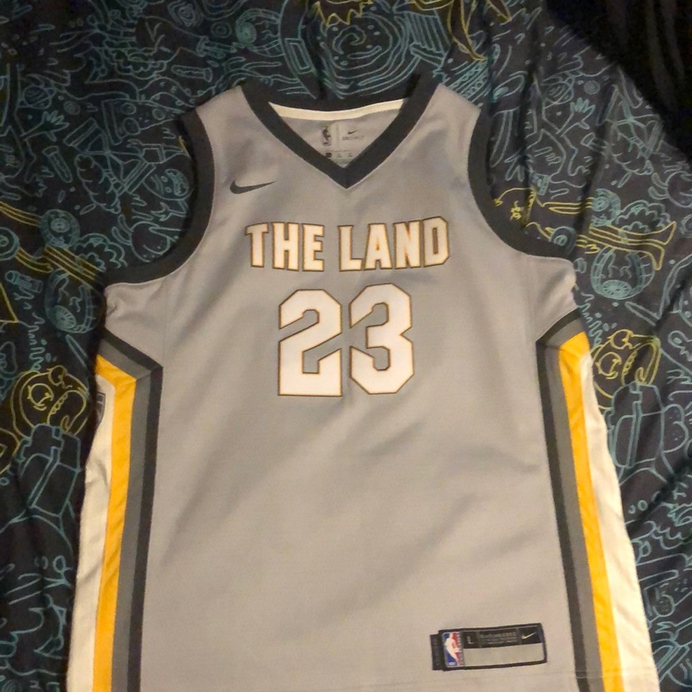 Lebron James The Land jersey